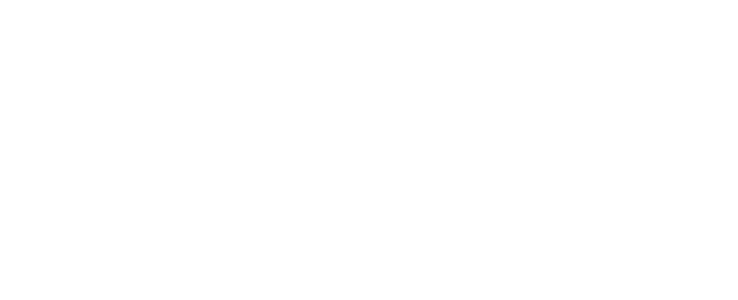 Papenom Logo